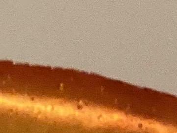 Vintage Vase | Diego Casella-Pc-1954 Two-Tone Modern Resin Art Object 1990s Design — photo 5 of 8
