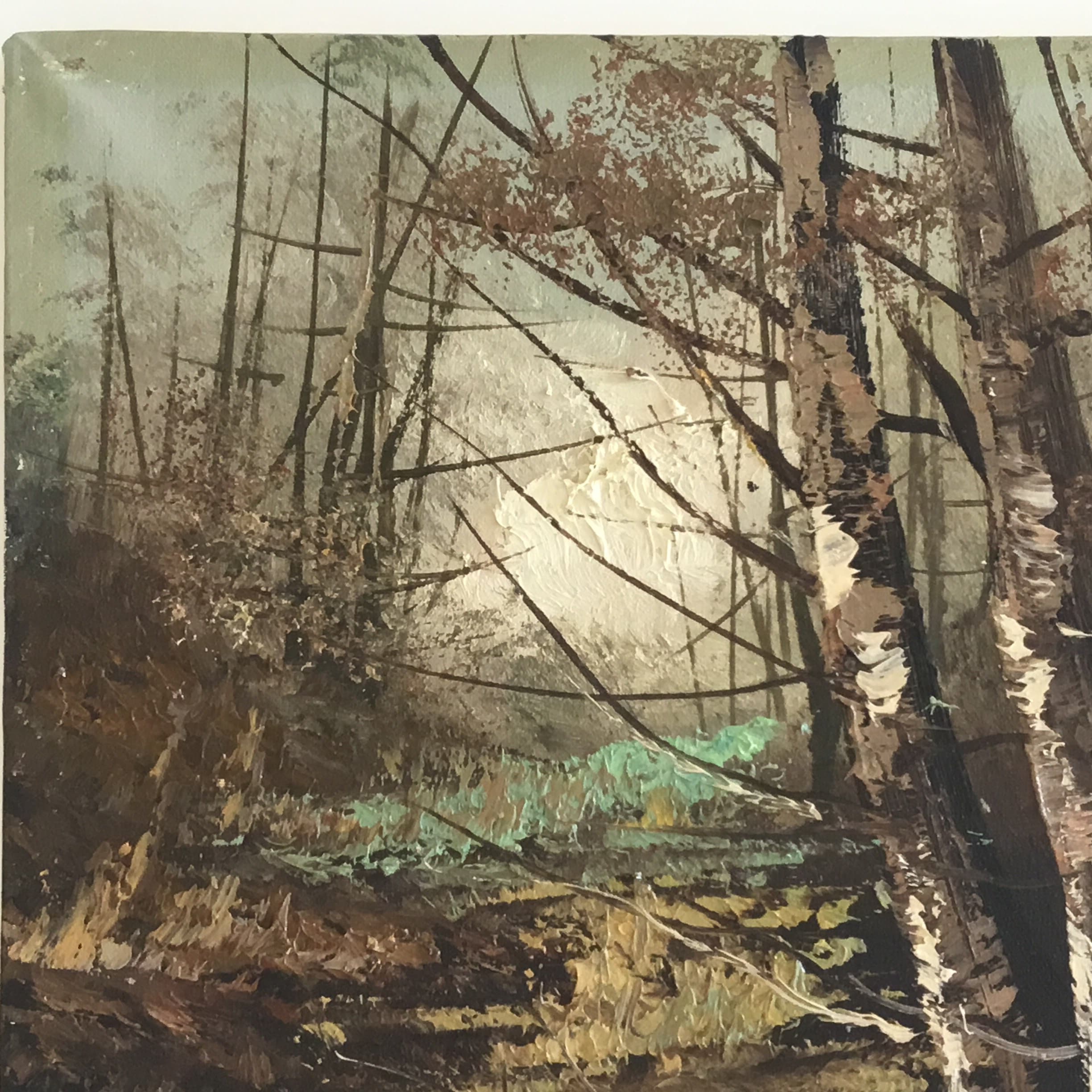 Vintage Painting | 1950s Autumn Forest Landscape by Carlo Di Stefano, Italian Artist — photo 5 of 11