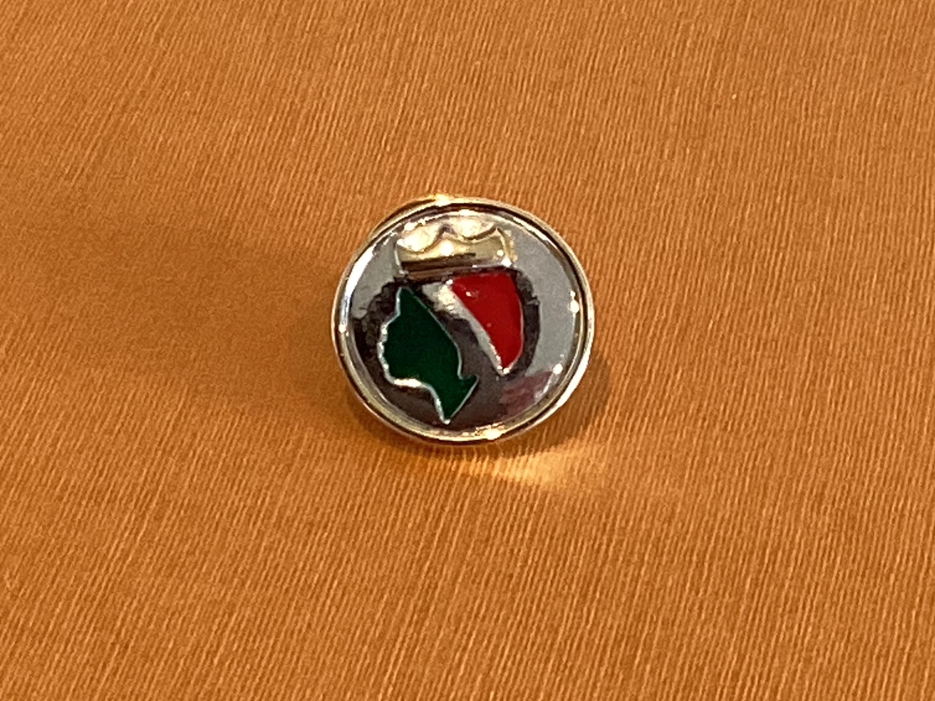Vintage Pin | Official Miss Italia 1995 Diego Casella-Pc-1954 Rhodium Brooch 24k Gold & 1000 — photo 4 of 11