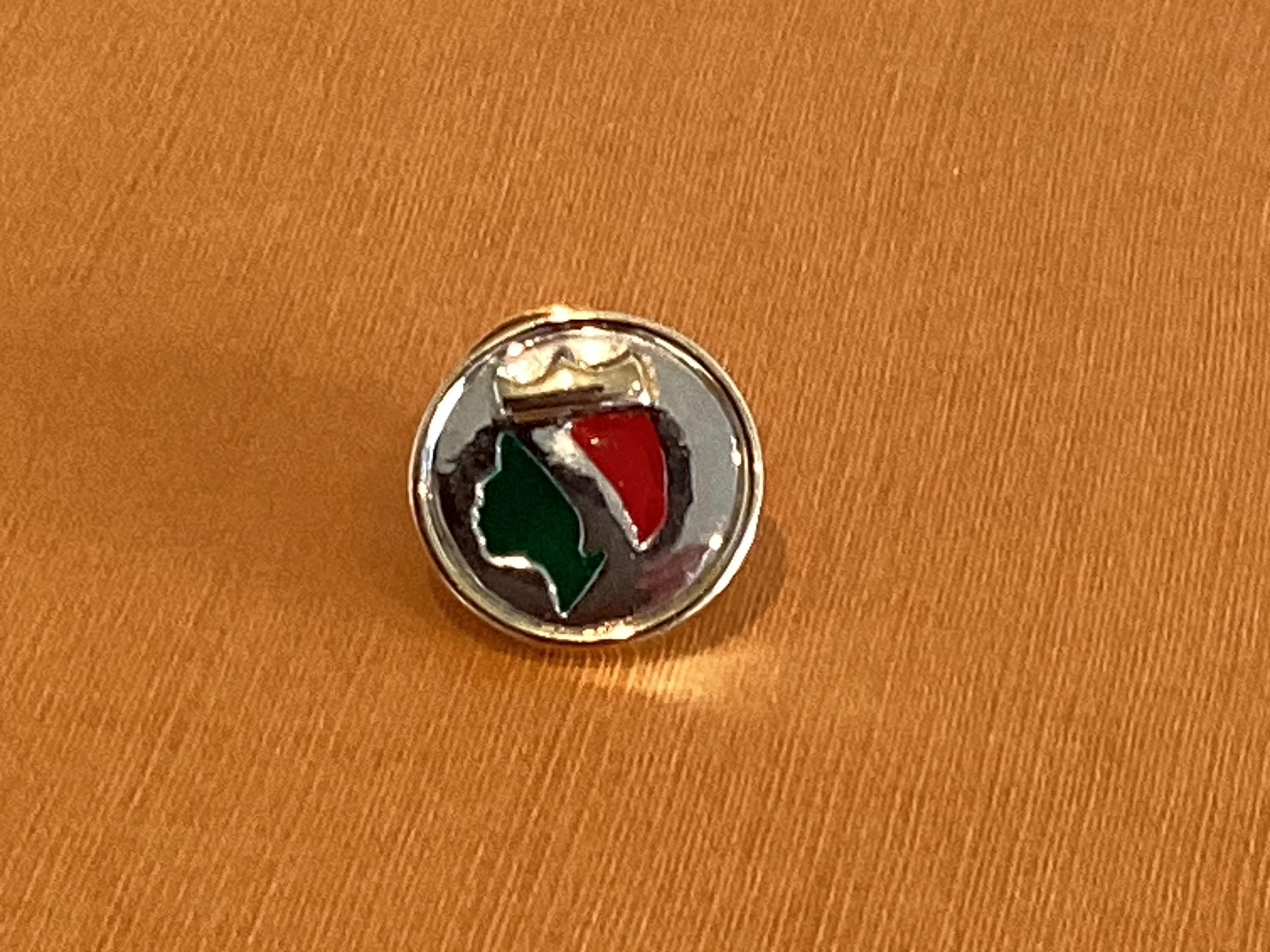 Vintage Pin | Official Miss Italia 1995 Diego Casella-Pc-1954 Rhodium Brooch 24k Gold & 1000 — photo 9 of 11